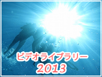 2013サマーキャンプの動画