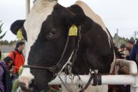 スプリングキャンプ 2016 写真