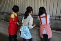 スプリングキャンプ 2016 写真