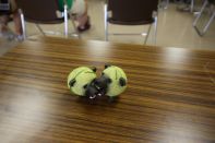 サマーキャンプ in 北海道 2015 写真