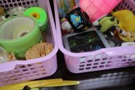 サマーキャンプ in 北海道 2016 写真