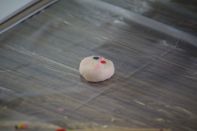 サマーキャンプ in 北海道 2016 写真