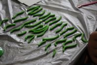 サマーキャンプ in 北海道 2016 写真