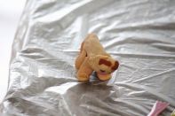 サマーキャンプ in 北海道 2016 写真