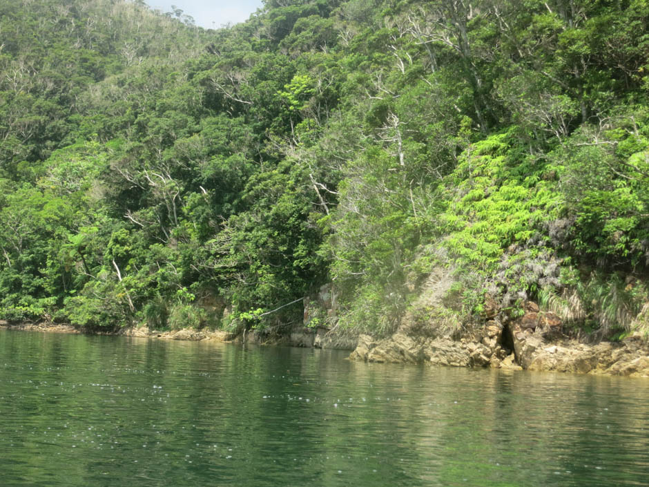 サマーキャンプ in 沖縄 2016 写真