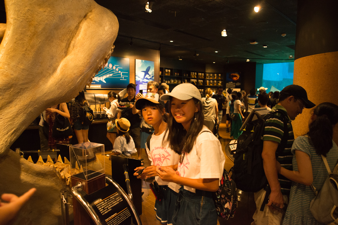 サマーキャンプ in 沖縄 2017 写真