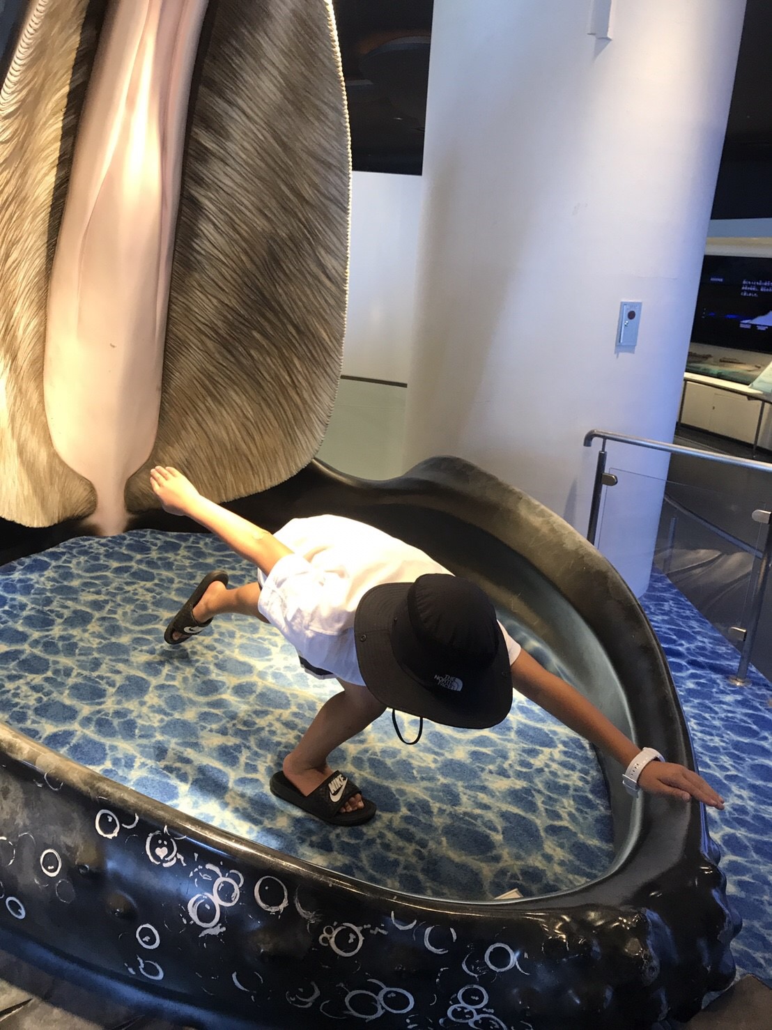 サマーキャンプ in 沖縄 2017 写真