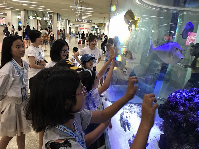 サマーキャンプ2018沖縄の写真
