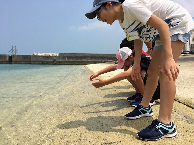 サマーキャンプ2018沖縄の写真