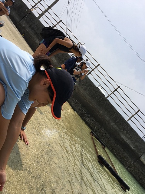 サマーキャンプ2018沖縄の写真