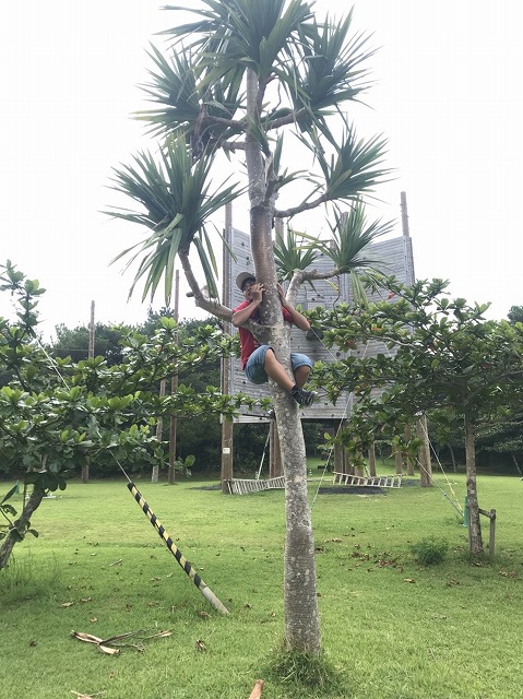 サマーキャンプ2018沖縄の写真