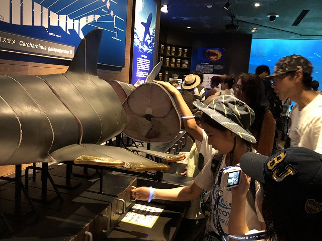 サマーキャンプ2018沖縄の写真