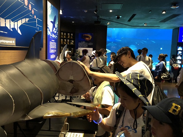 サマーキャンプ2018沖縄の写真