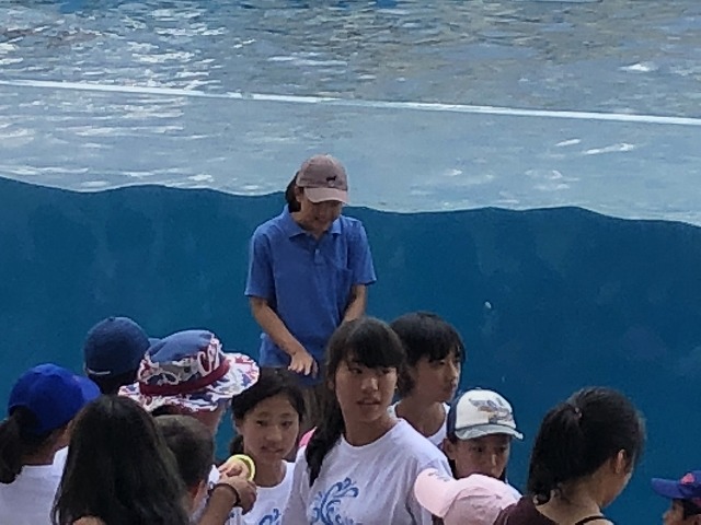 サマーキャンプ2018沖縄の写真