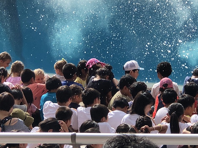 サマーキャンプ2018沖縄の写真