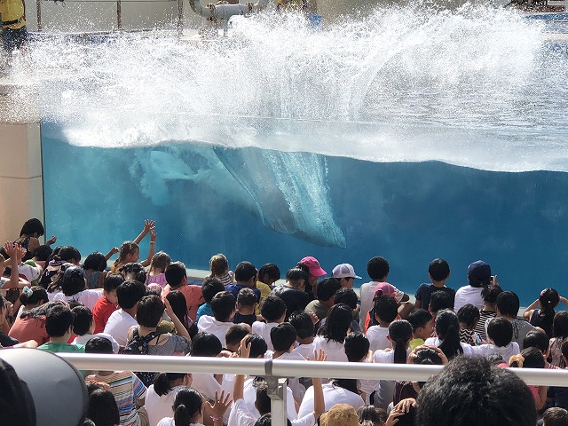 サマーキャンプ2018沖縄の写真