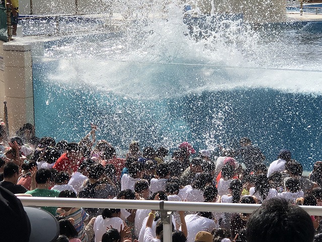 サマーキャンプ2018沖縄の写真