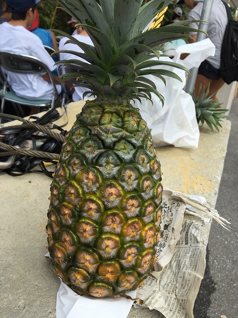 サマーキャンプ2018沖縄の写真