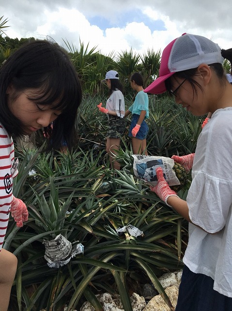 サマーキャンプ2018沖縄の写真