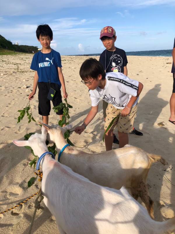 サマーキャンプ2019沖縄の写真