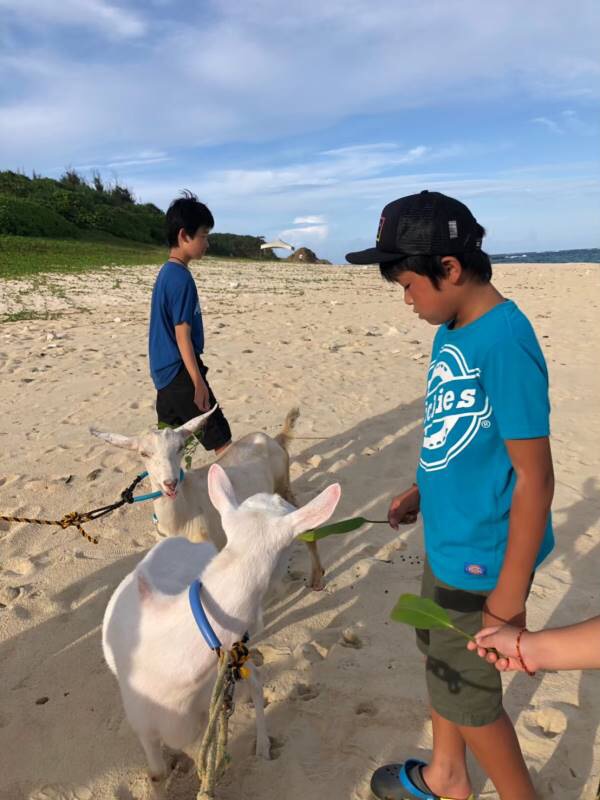 サマーキャンプ2019沖縄の写真