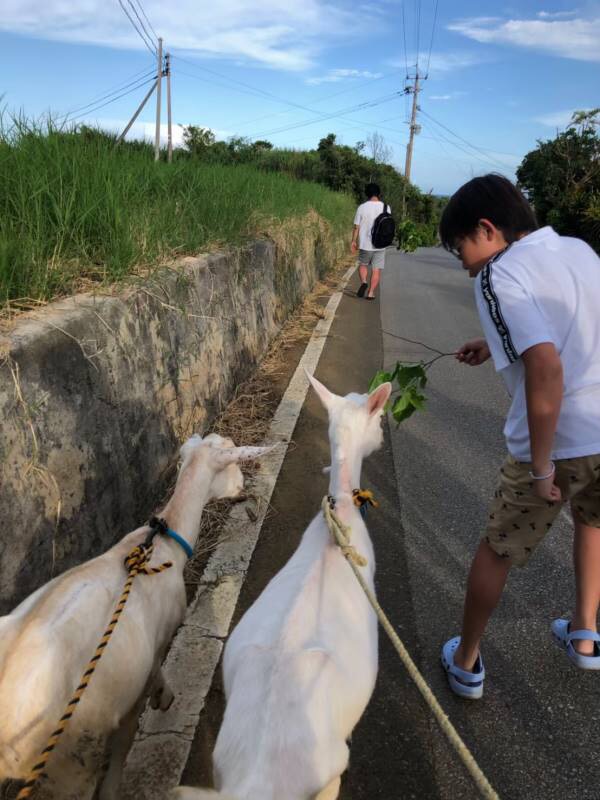 サマーキャンプ2019沖縄の写真