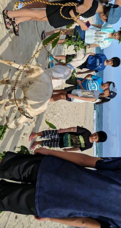 サマーキャンプ2019沖縄の写真