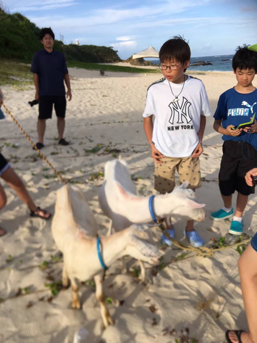 サマーキャンプ2019沖縄の写真