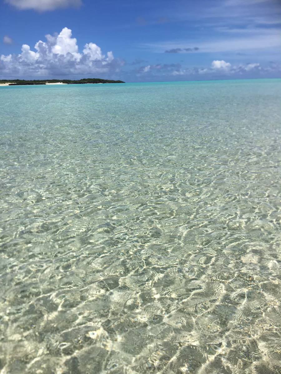 サマーキャンプ2019沖縄の写真