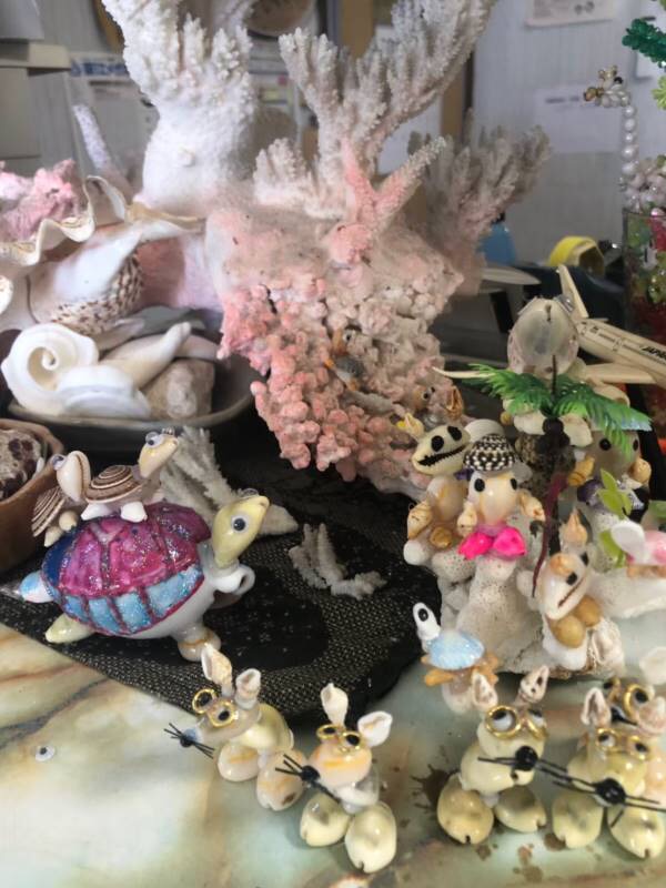 サマーキャンプ2019沖縄の写真