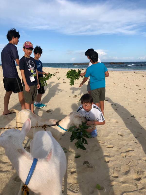 サマーキャンプ2019沖縄の写真
