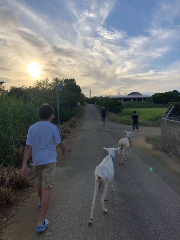 サマーキャンプ2019沖縄の写真