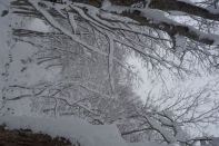 ウィンターキャンプ in 長野 2015 写真