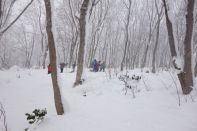 ウィンターキャンプ in 長野 2015 写真