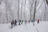 ウィンターキャンプ in 長野 2015 写真