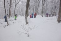 ウィンターキャンプ in 長野 2015 写真