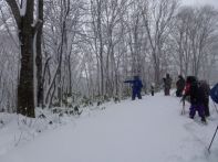ウィンターキャンプ in 長野 2015 写真