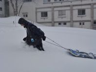 ウィンターキャンプ in 長野 2015 写真